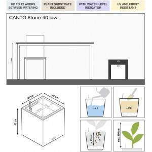 Lechuza CANTO Stone low 30, steingrau, hochwertiger Kunststoff, inkl. Bewässerungssystem, abnehmbare Pflanzenabdeckung