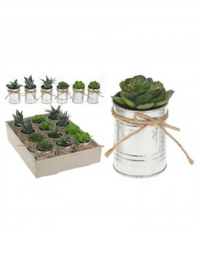 Succulente artificiale in Vaso
