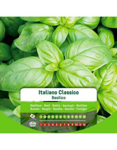 Semi di Basilico Italiano...