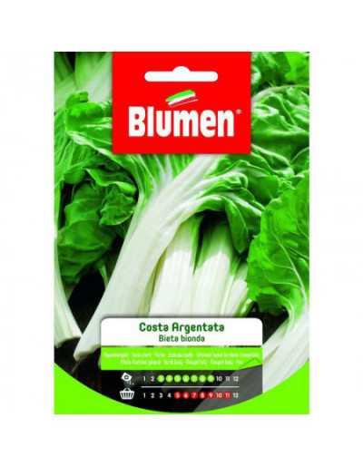 Semi di Bieta Bionda a...