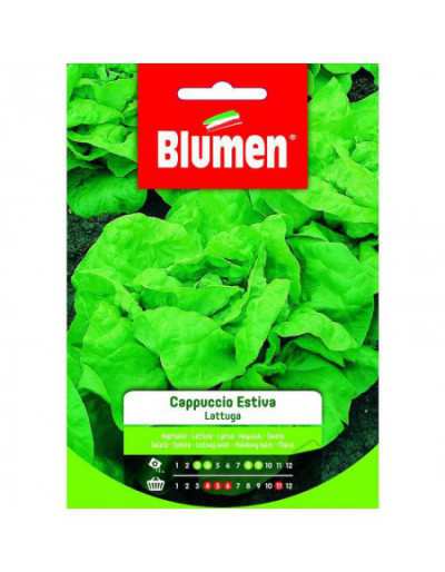 Sementes de alface com...