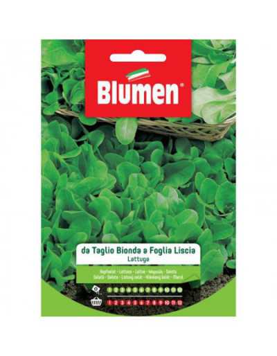 Sementes de alface com...