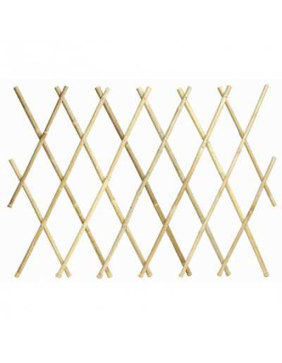Treillis Extensible en...