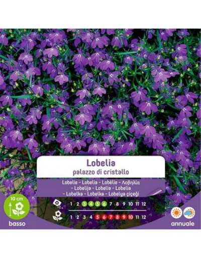 Crystal Palace Lobelia...