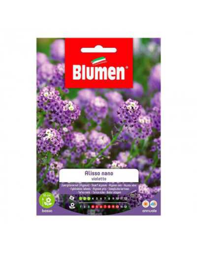 Alissa Nano Violet Seeds im...