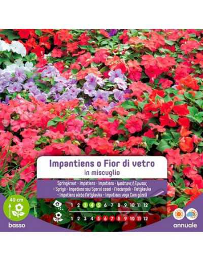 Impatiens oder...