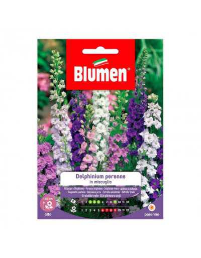 Gemischte Delphinium...