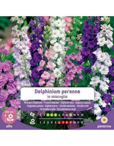 Gemischte Delphinium...