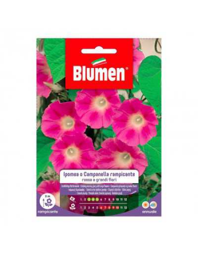 Ipomea-Samen oder rote Kletterglocke mit großen Blüten im Beutel