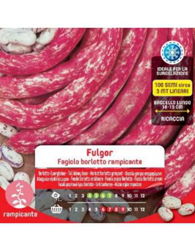 Fulgor Wspinaczkowe Nasiona...