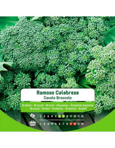 Calabrese Branched Broccoli...