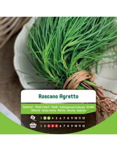 Graines Roscano Agretto en...