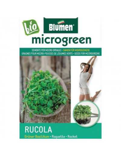 Samen für Rucola Microgermogli