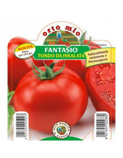 Tondo Fantasio F1 Tomato...
