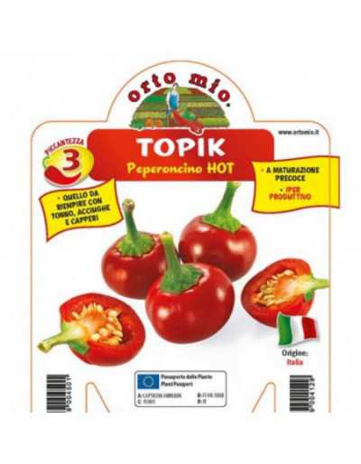 Topik F1 Anchova Hot Round...