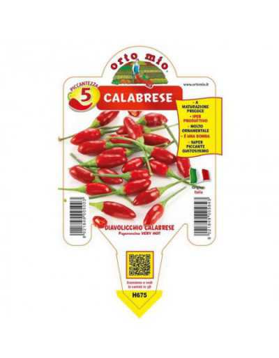 Diavolicchio Italico Chilli...