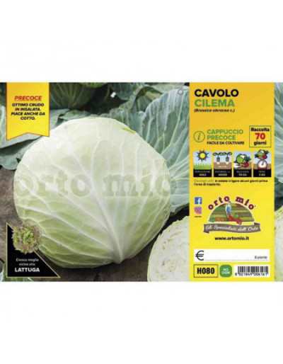 Cabbage Plants Round Early Chilema