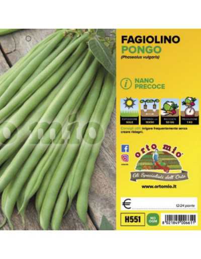 Pongo F1 Dwarf Green Bean...