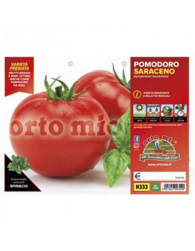 Plants de tomates Saraceno...