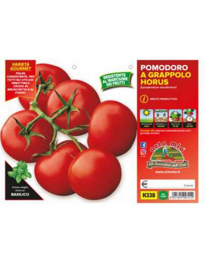 Plants de tomates à grappes...