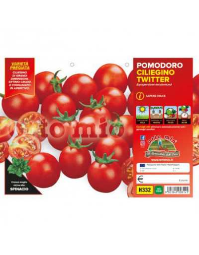 Cherry Tomato Plants Bingo F1