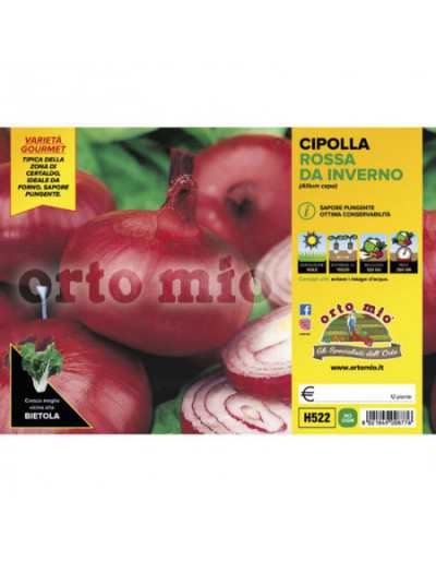 Certaldo Red Onion Plants...