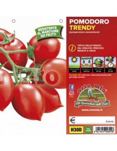 Trendy Vesuvian Tomato...