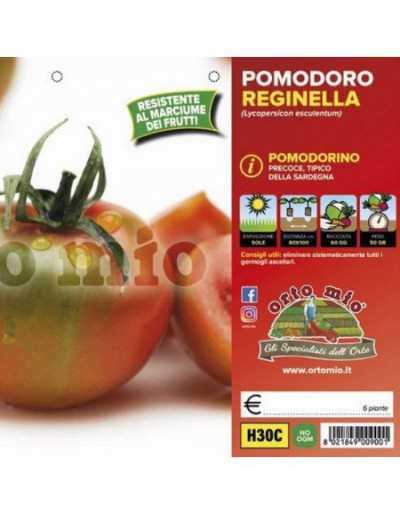 Sardenha Rodada Tomate...