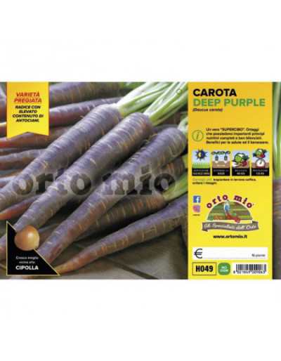 Purple Carrot Deep Purple F1