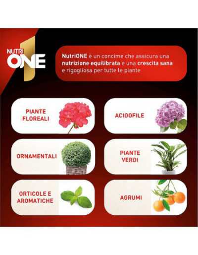 Nutri One Concentrated...
