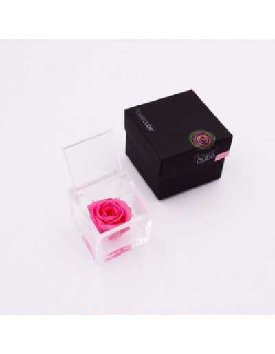 Cubo de Flores 10 x 10 Rosa Rosa Preservada