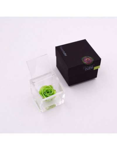 Cubo de Flores 6 x 6 Rosa...