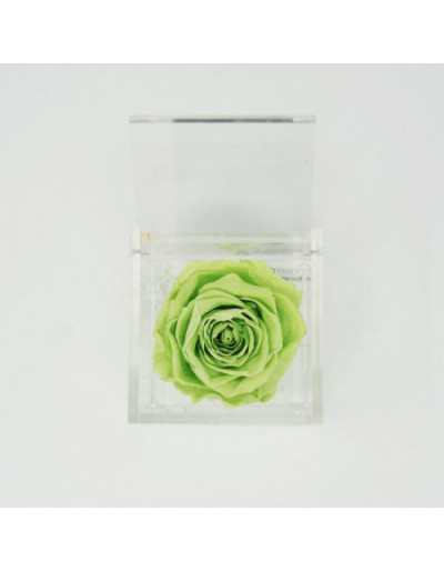 Cubo de Flores 6 x 6 Rosa...