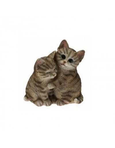 Chatons amoureux