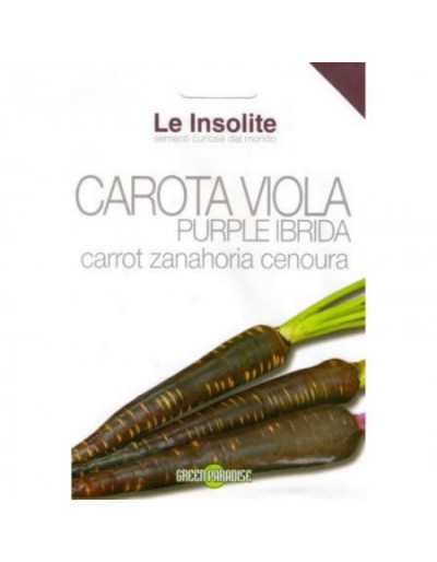Graines en sachet Le Insolite - Purple Hybrid Purple Carrot