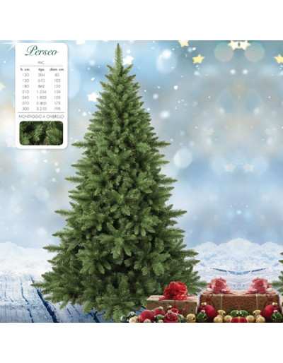 Perseus Evergreen Christmas tree