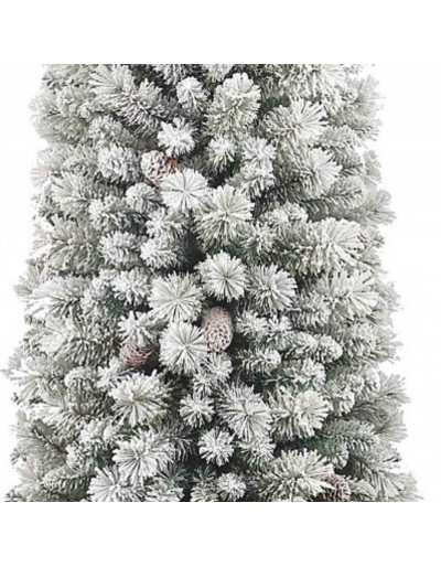 Schneebedeckter schlanker Crestone Peak-Weihnachtsbaum mit Tannenzapfen
