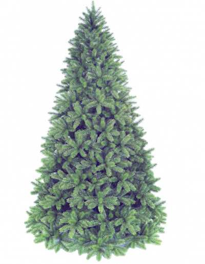 Poly Groden Evergreen Świąteczny świerk