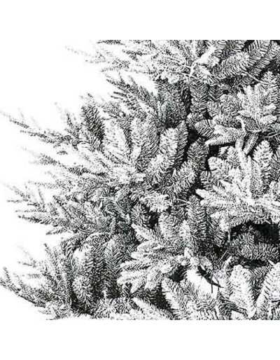 Detalle de pino navideño Poly Snowy Nordmann