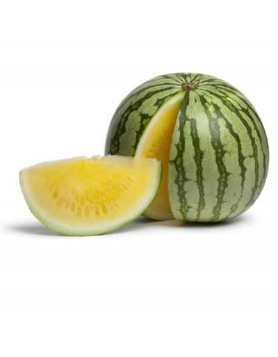 Gul Luteo F1 vattenmelonväxt